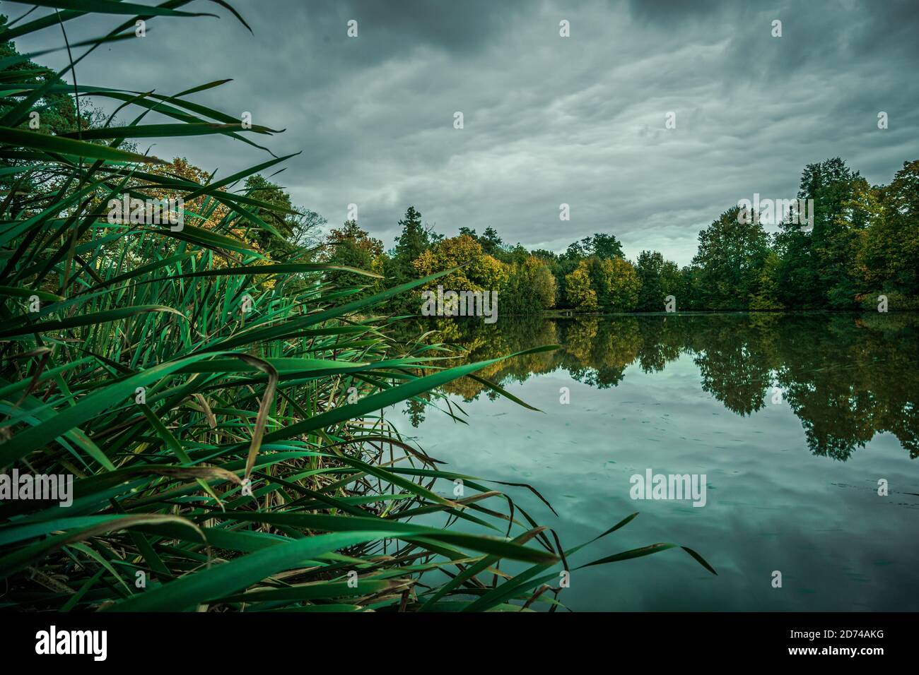 Wolkiger Himmel über dem Teich. Langzeitbelichtung. Stockfoto