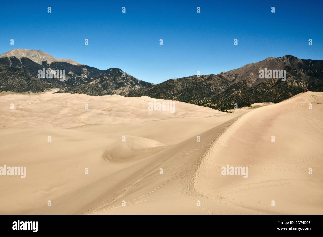 Fußabdrücke in den höchsten Sanddünen Nordamerikas. Great Sand Dunes National Park. Sangre de Cristo Mountains in Colorado, USA Stockfoto