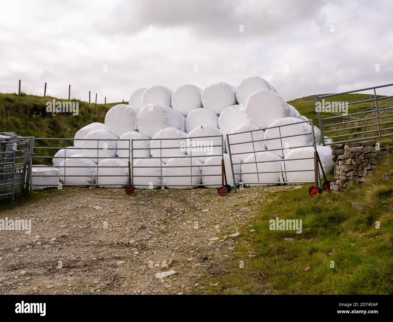 Heuballen auf dem Pennine Way nach Fountains fielen von Malham Tarn, bevor eine weniger offensichtliche Rückkehr über Knowe Fell, Black Hill und die Gorbeck Road stattfand. Stockfoto