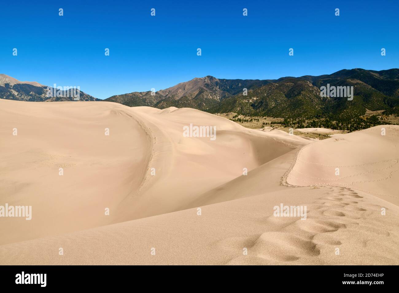 Fußabdrücke im Sand. Höchste Sanddünen in Nordamerika. Great Sand Dunes National Park. Sangre de Cristo Mountains in Colorado, USA Stockfoto