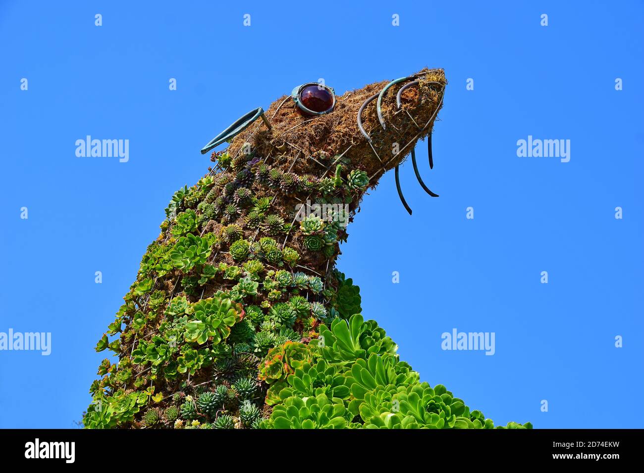 Urban Art am Pier 39 in San Francisco Stockfoto