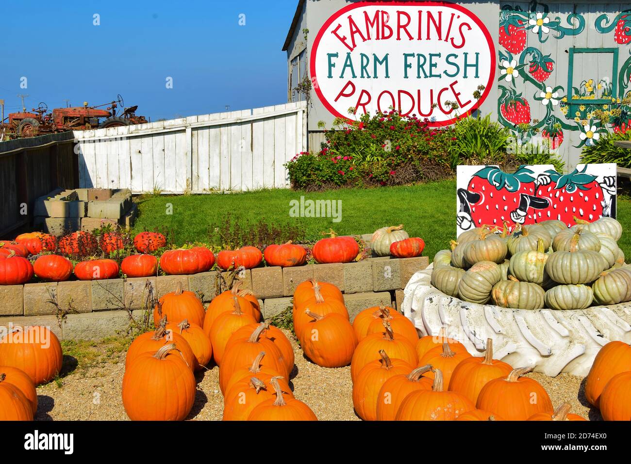 Farm frische Produkte an der Santa Cruz Küste Stockfoto