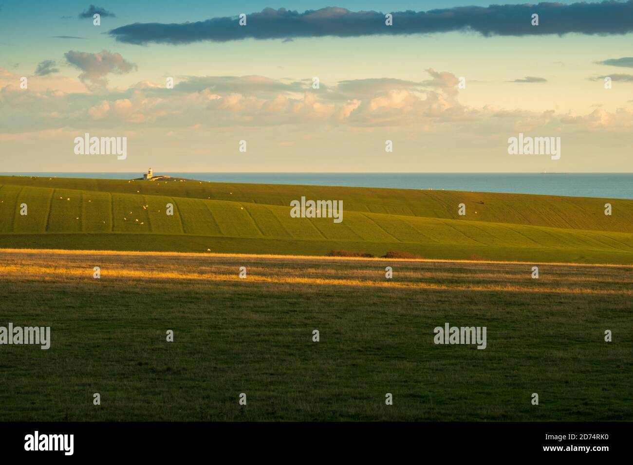 Blick auf den Leuchtturm Belle Tout über dem Crowlink Estate (7) Stockfoto