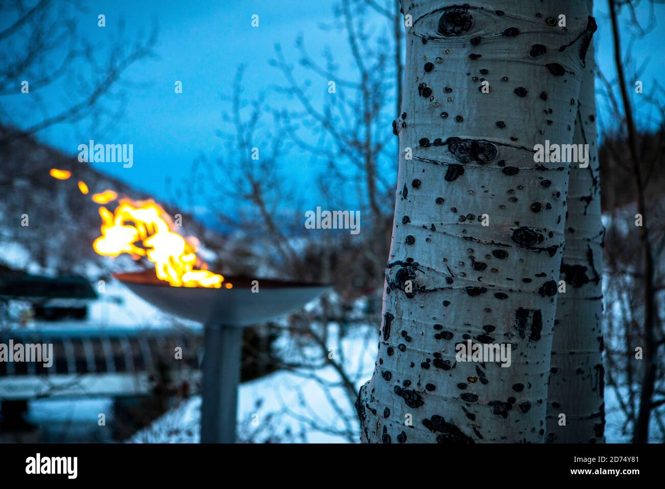 Ein Winterbrand im Deer Valley, Utah, in der Nähe von Salt Lake City. Stockfoto