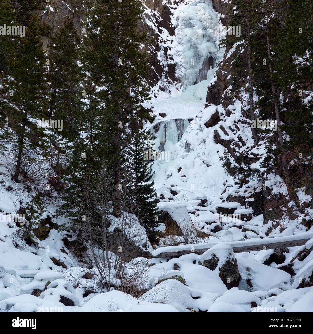 Fish Creek Falls gefroren in Eis während der Wintersaison. Routt National Forest, Colorado Stockfoto