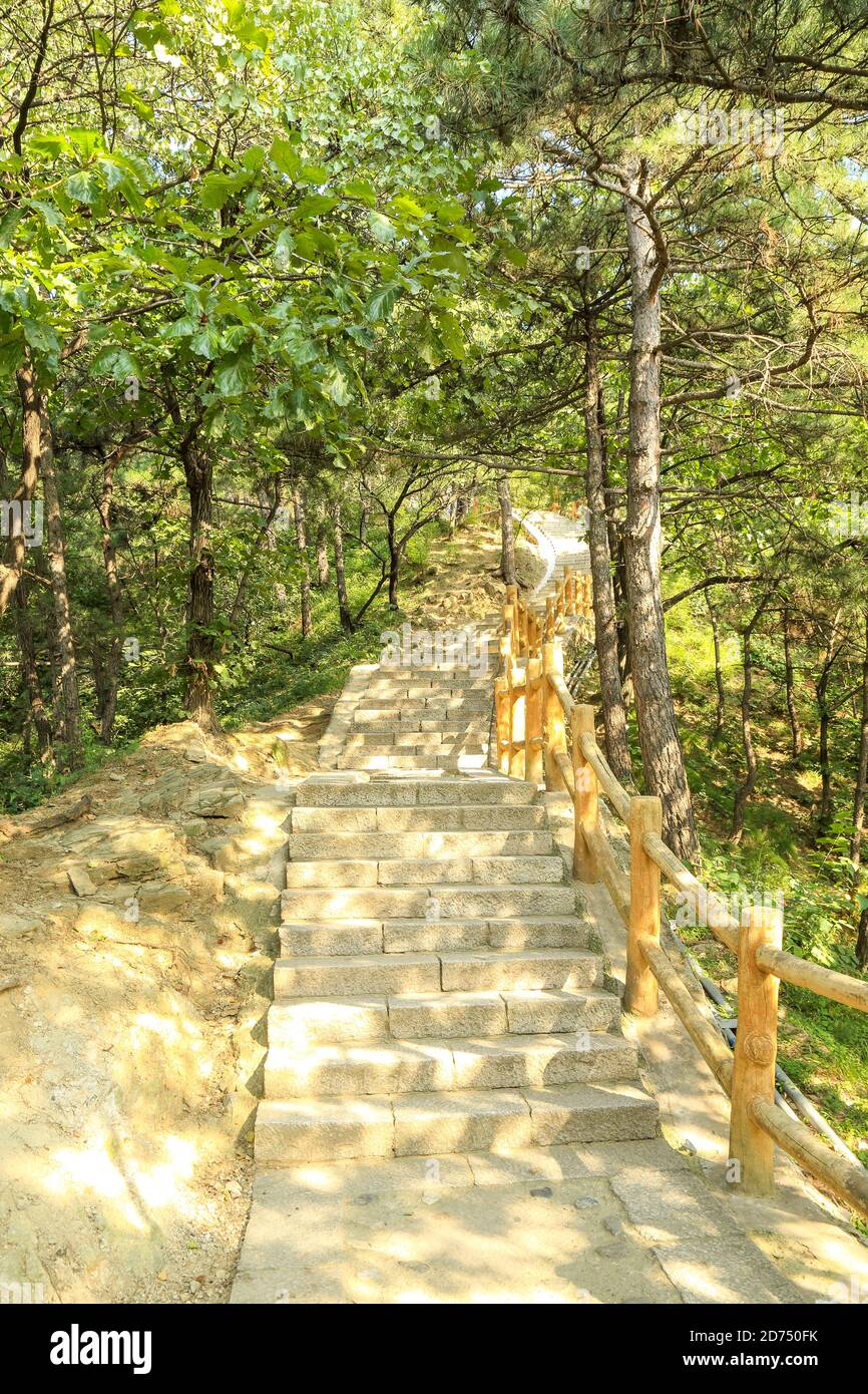 Treppe von Grün bedeckt geht von der großen Mauer von China, Mitianyu Stockfoto