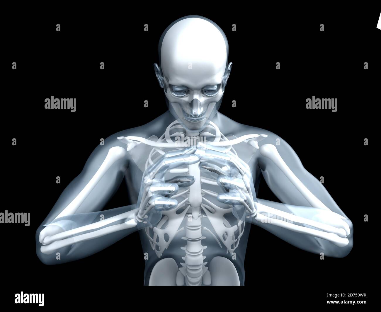 3D Illustration der menschlichen Anatomie – Röntgenaufnahme am Skelett ...