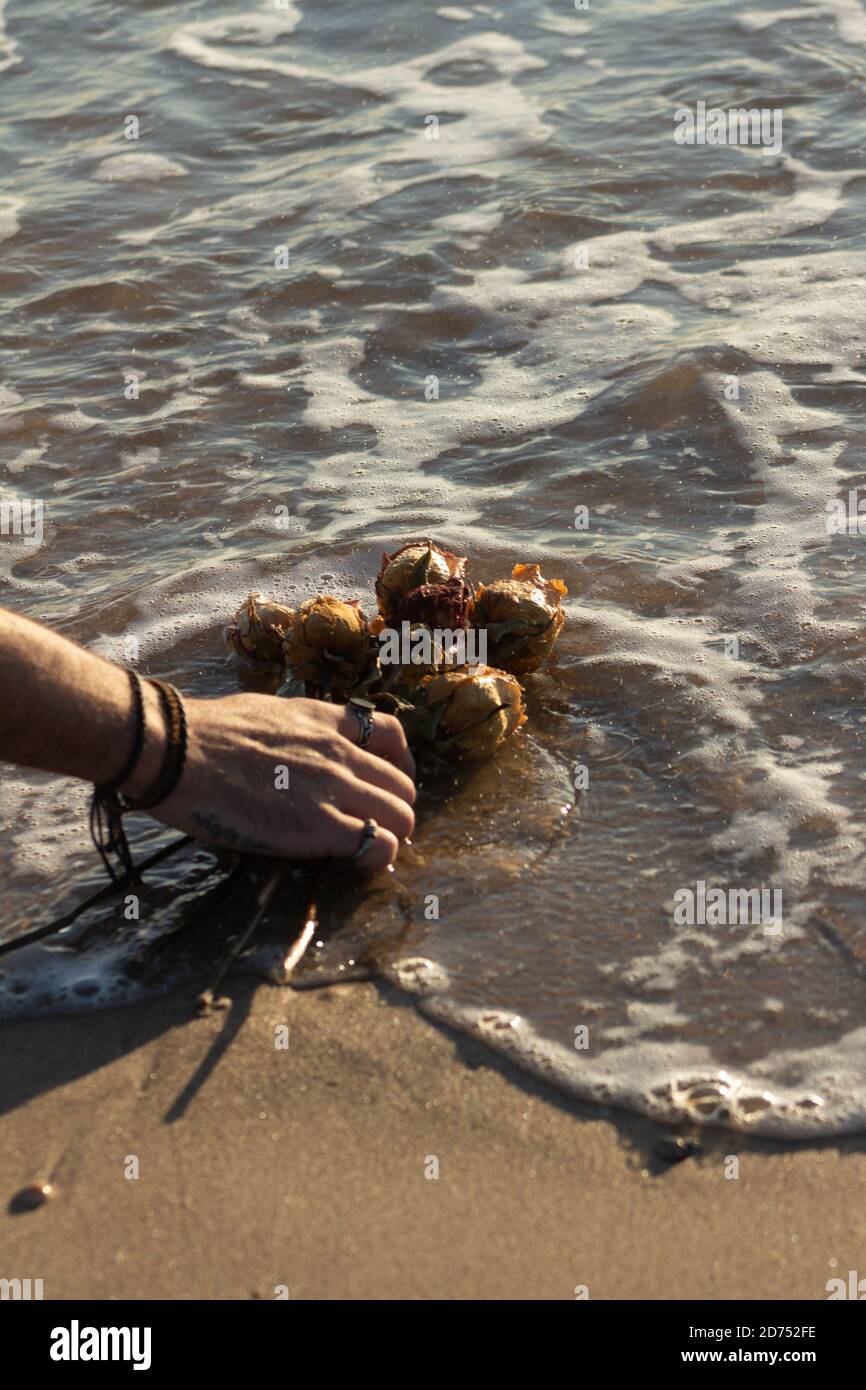 Die vertikale Aufnahme einer Person, die den Strauß des getrockneten setzt rosen am Strand, umgeben vom Meer Stockfoto