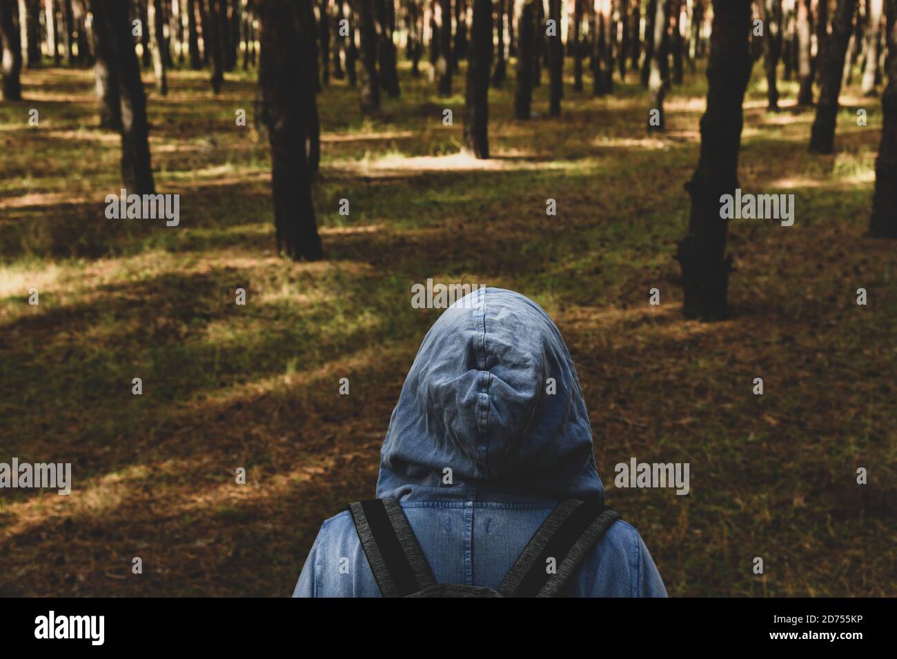 Tourist mit Rucksack und Kapuze im immergrünen Kiefernwald. Reisen, Ökotourismus, Ökologie, lokale Tourismus-Konzept, natürlichen Hintergrund, Explorer, Hoodie Stockfoto