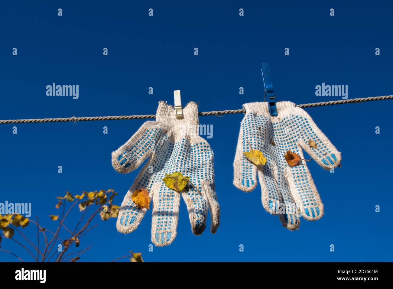 Ein Paar weiße Arbeitshandschuhe, befestigt mit zwei Wäscheklammern, mit blauen Pickel und Blättern, die nach der Arbeit an der Wäscheleine am blauen Himmel hängen Stockfoto