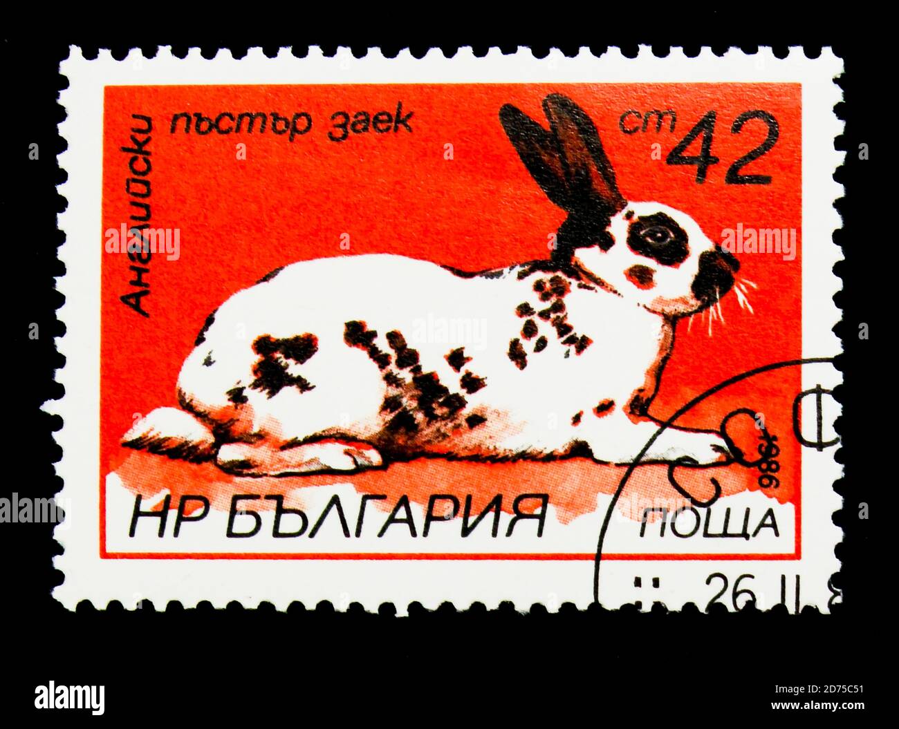 MOSKAU, RUSSLAND - 25. NOVEMBER 2017: Eine in Bulgarien gedruckte Briefmarke zeigt Spotted English (Oryctolagus cuniculus forma domestica), Hasen und Kaninchen Serie Stockfoto