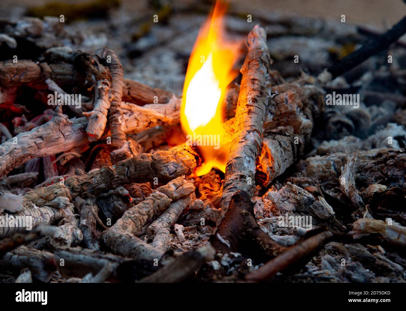Heiße Kohlen und kleine Flammen in einem sterbenden Feuer Stockfoto