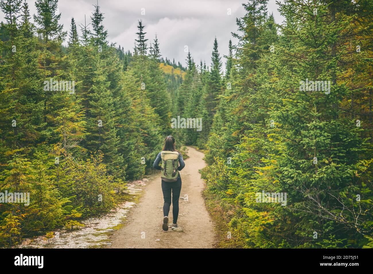 Wanderer reisen Frau zu Fuß auf Wanderweg Wanderweg Pfad im Wald von Pinien. Kanada Reise Abenteuer Mädchen Tourist Trekking im Freien Natur Stockfoto