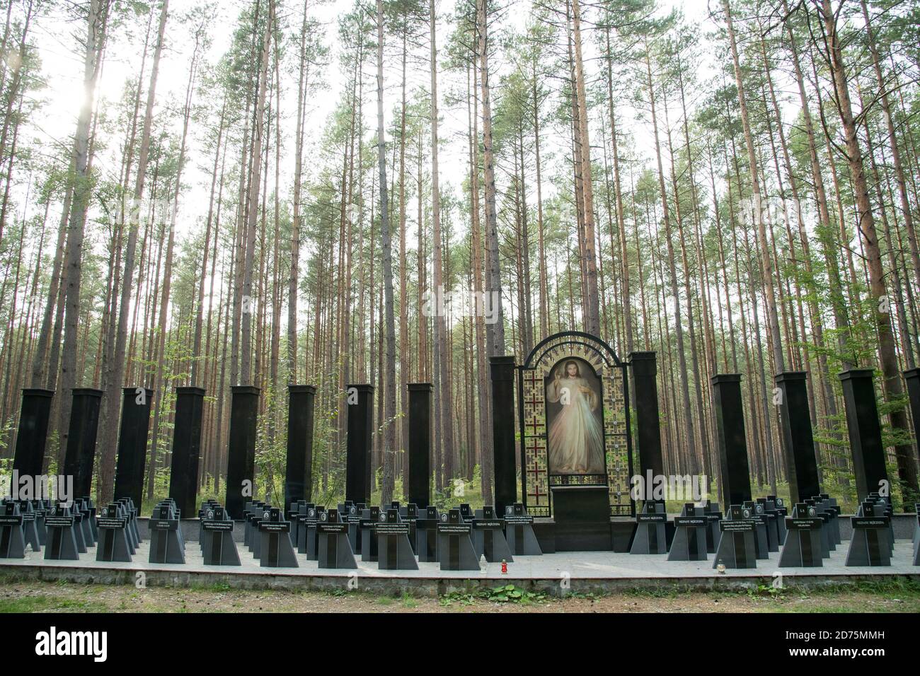 Eines von mindestens 30 Massengräbern von 12.000 bis 14.000 polnischen Intellektuellen (Nationalaktivisten, Lehrer, Priester) aus Kazuby und Pommern, Extermina Stockfoto