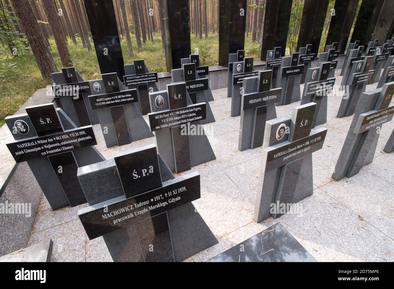 Eines von mindestens 30 Massengräbern von 12.000 bis 14.000 polnischen Intellektuellen (Nationalaktivisten, Lehrer, Priester) aus Kazuby und Pommern, Extermina Stockfoto