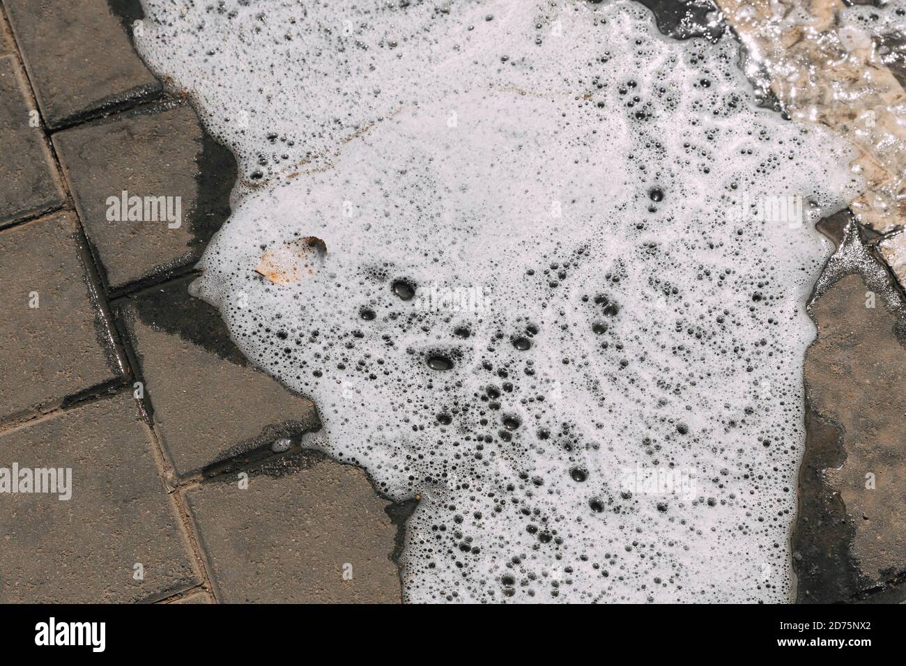 Schaum strömt auf dem Asphalt von Autowaschanlage, nasse Betonstruktur. Hintergrund im Hintergrund. Komplizierte natürliche Muster aus Schaum und Seifenblasen. Schwarzes tarma Stockfoto