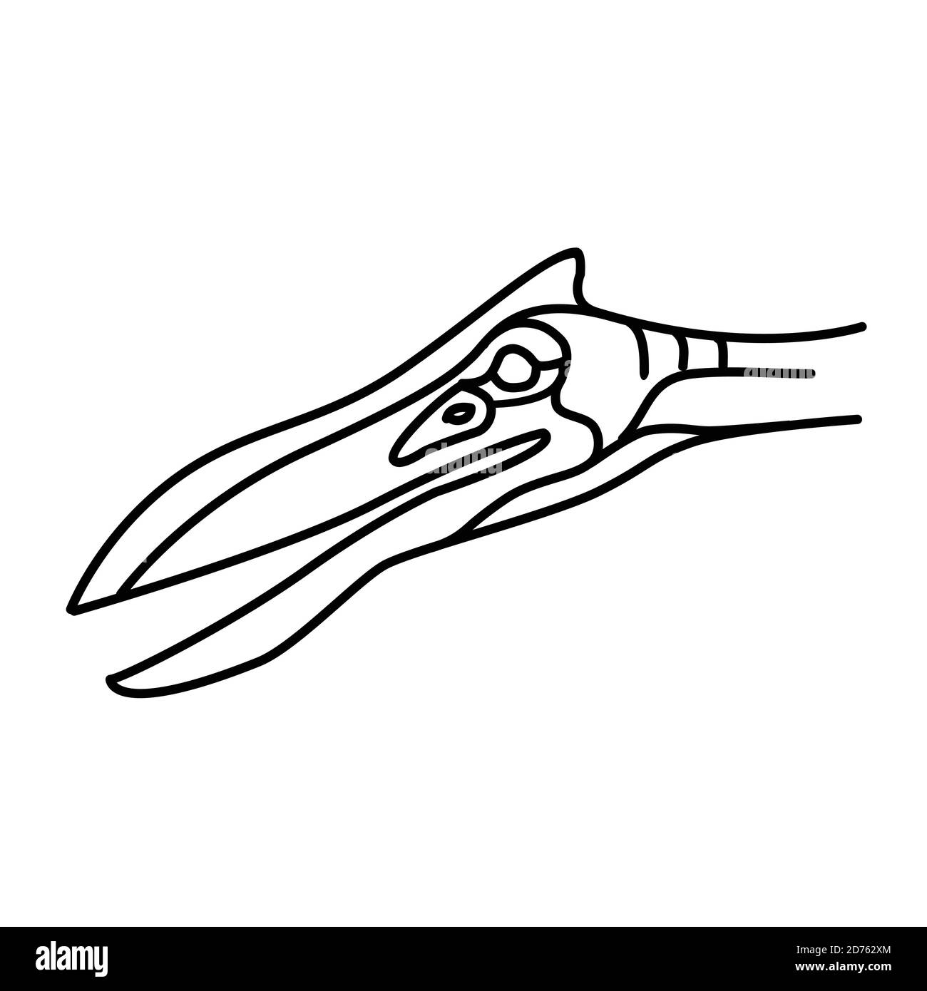 Symbol „Pterosaur“. Doodle Hand gezeichnet oder Black Outline Icon Stil Stock Vektor