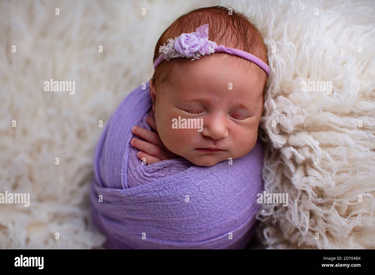 Schlafend, sieben Tage altes neugeborenes Mädchen in einem violetten Wrap gewickelt. Gedreht im Studio auf einem weißen Teppich aus Schaffell Stockfoto