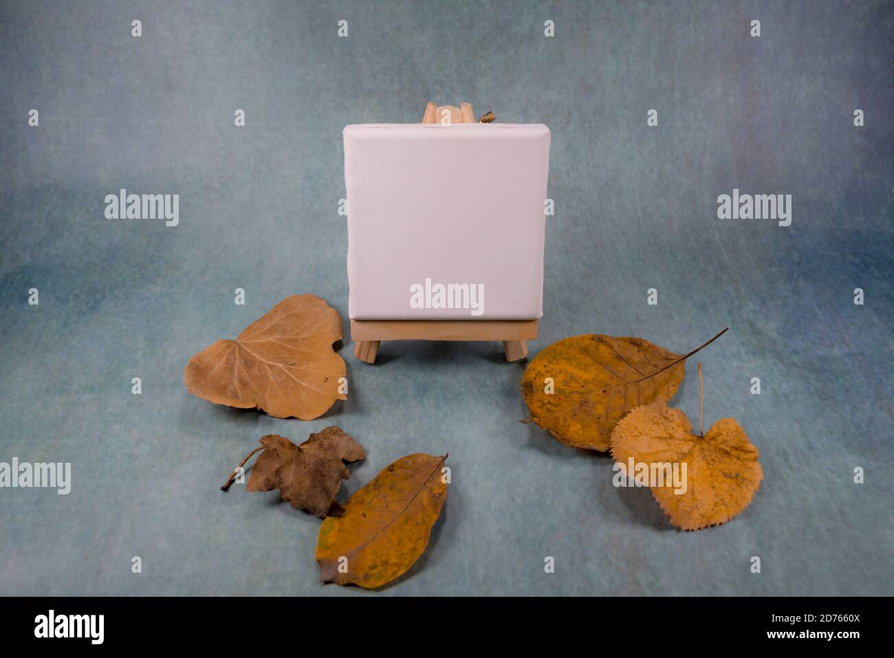 Minimalistischer grauer Hintergrund mit Miniaturleinwand auf Staffelei. Fallend gelbe und braune Herbstblätter ringsum. Stockfoto