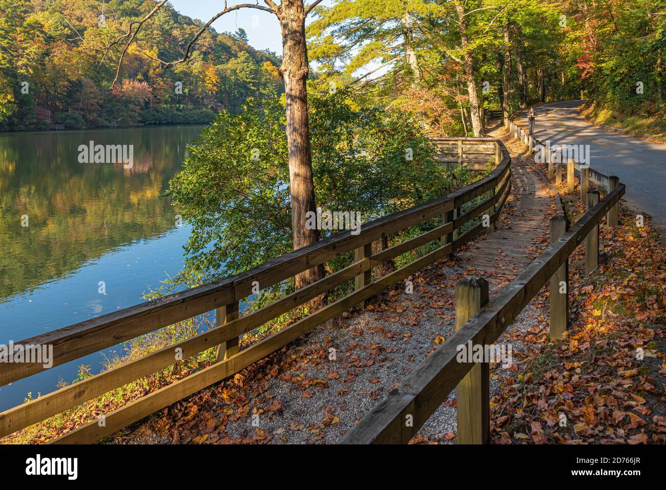 Lakeside Trail an einem Herbstnachmittag entlang des Lake Trahlyta im Vogel State Park bei Blairsville, Georgia. (USA) Stockfoto