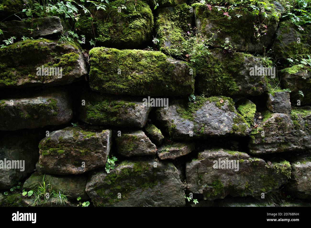 Moosige Steine Stockfoto