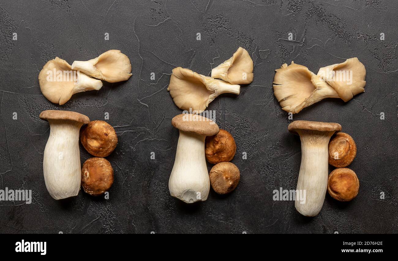 Pilze knolling Konzept Stockfoto