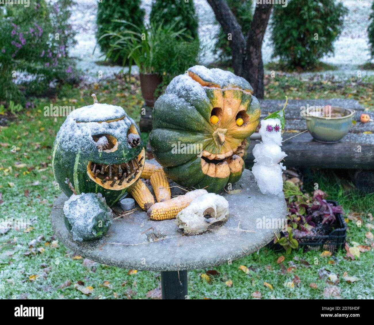 Erster Schnee, geschnitzte dekorative Kürbisse im Garten, erster Schnee auf Kürbisdekoren, halloween, Kürbisdekor, Herbstzeit Stockfoto