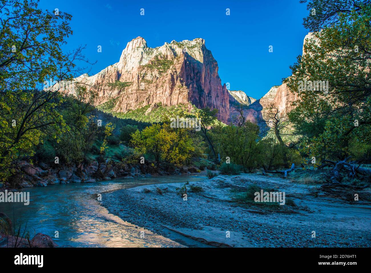 USA, ZION NATIONAL PARK, UTAH, Blick in den Hears Canyon entlang des Zion Canyon Scenic Drive in Richtung Lady Mountain und Castle Dome Stockfoto
