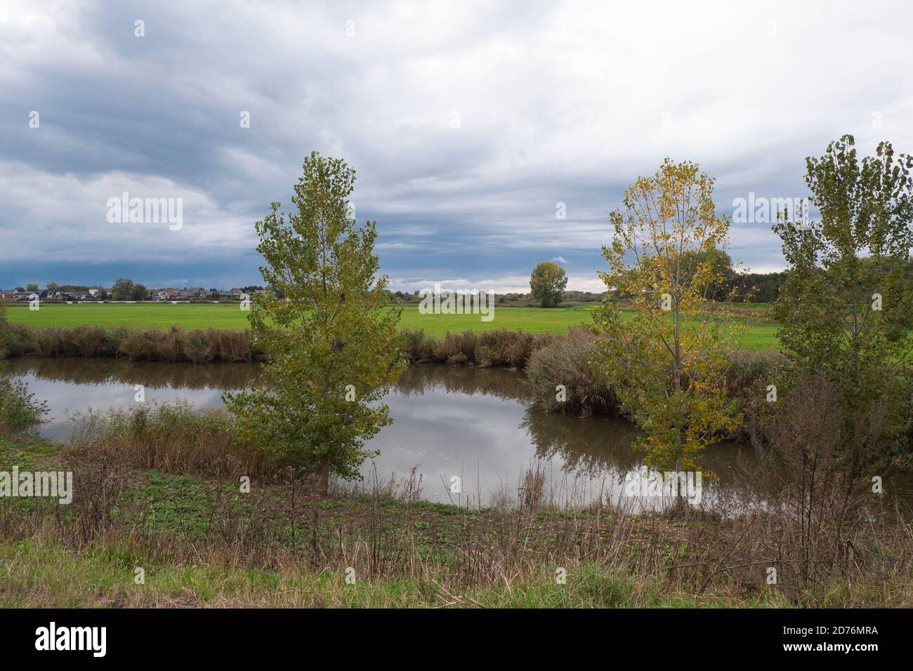 Landschaftsfoto mit Wasserbäumen und einem ominösen bewölkten Himmel Stockfoto