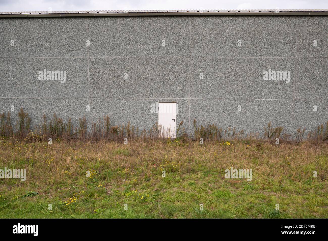 Großes graues Gebäude mit einer kleinen weißen Tür Stockfoto