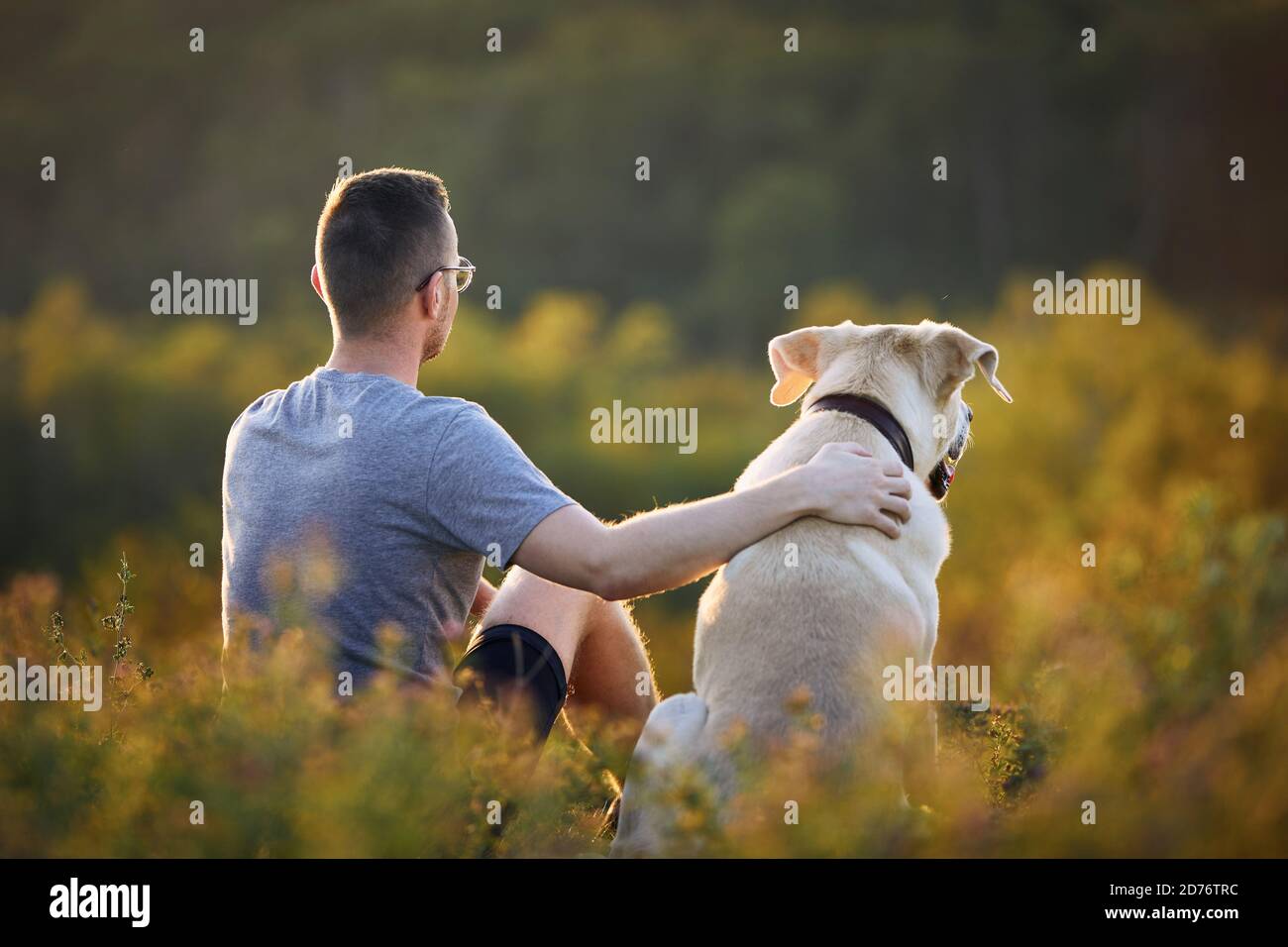 Mann, der mit Hund auf der Wiese sitzt. Tierbesitzer umarmt seinen labrador Retriever im Gras. Stockfoto
