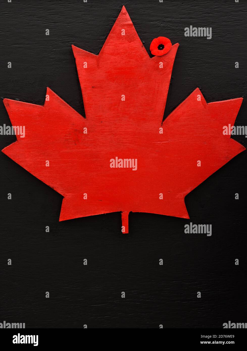 Canada Blatt und Mohn aus Holz. Remembrance Day. Mohntag. Kanada Tag. Stockfoto