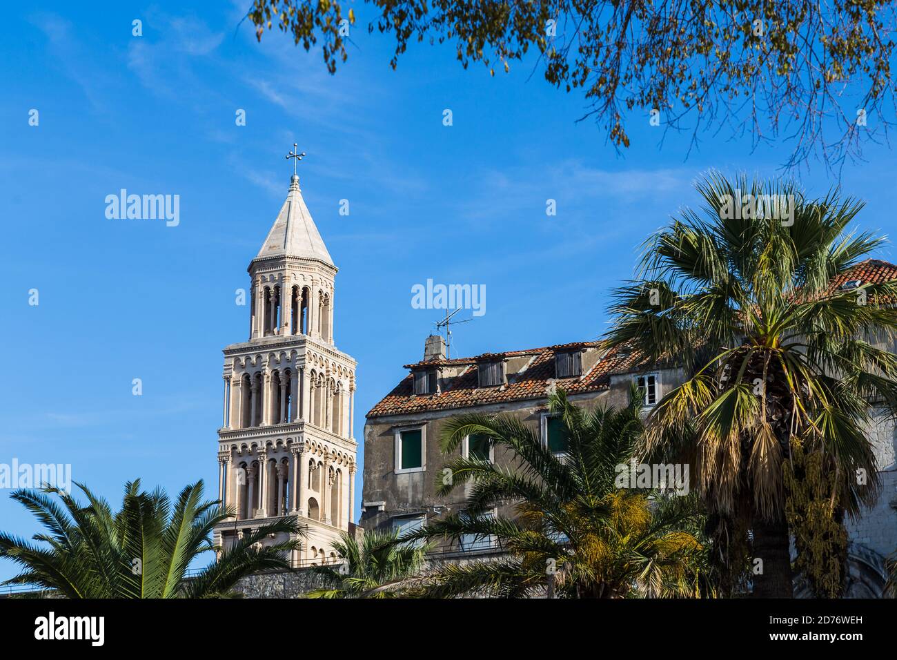Kathedrale von Saint Domnius Glockenturm unter Laub und Palmen an der Riva in Split, Kroatien eingerahmt. Stockfoto