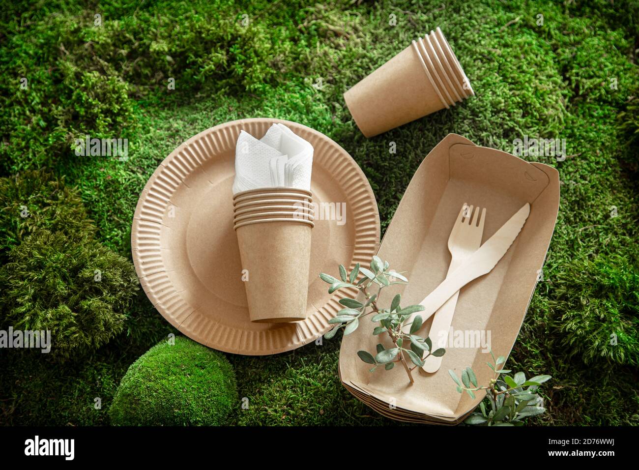 Umweltfreundliches, Einweg- und recycelbares Geschirr. Papier  Lebensmittel-Boxen, Teller und Besteck von Maisstärke auf einem grünen Gras  Hintergrund Stockfotografie - Alamy