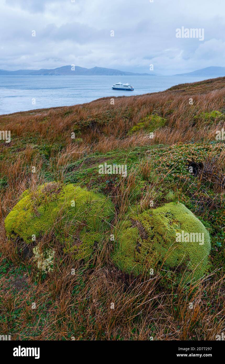 Kreuzfahrtschiff Ventus Australis, Kap Horn, Kap Horn Nationalpark, Kap Horn Insel, Feuerland Archipel, Magallanes und chilenische Antarktis Re Stockfoto