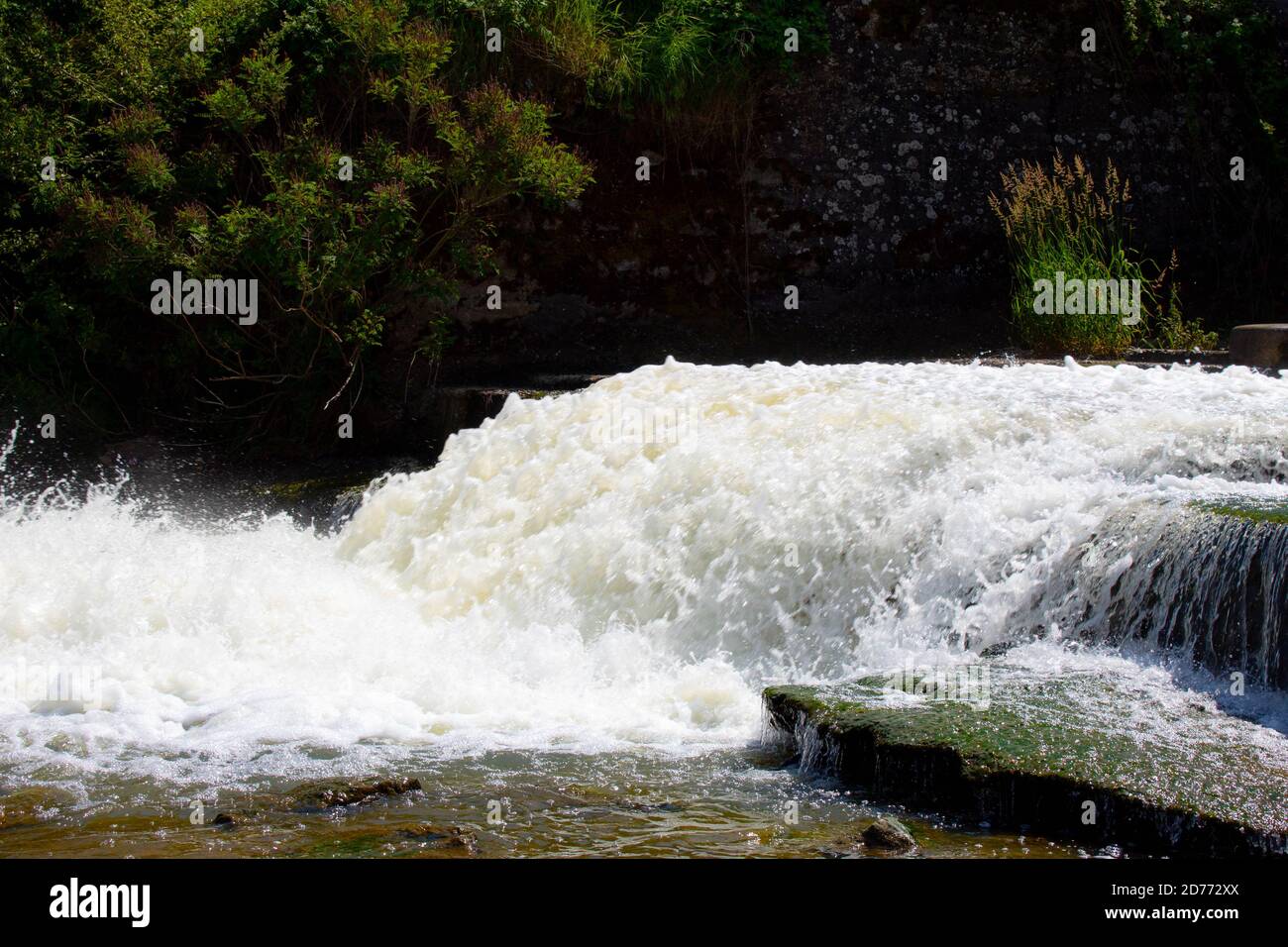 Fotos, die verschiedene Elemente in der Natur darstellen, vor allem in der Frühjahrssaison. Stockfoto
