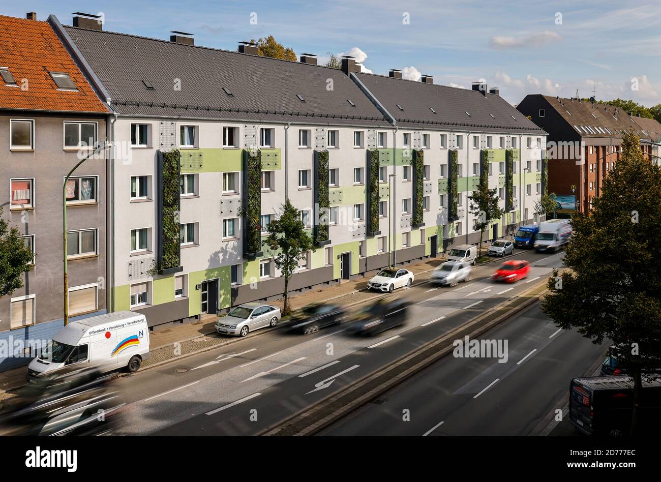 Essen, Ruhrgebiet, Nordrhein-Westfalen, Deutschland - wandgebundene Fassadenbegrünung an frisch reorganisierten Häusern der Allbau Wohnungsbaugesellschaft Stockfoto