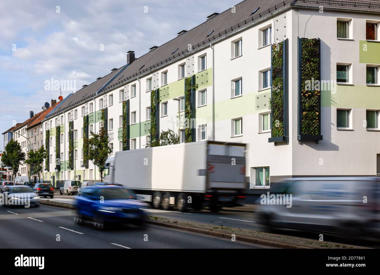 Essen, Ruhrgebiet, Nordrhein-Westfalen, Deutschland - wandgebundene Fassadenbegrünung an frisch reorganisierten Häusern der Allbau Wohnungsbaugesellschaft Stockfoto