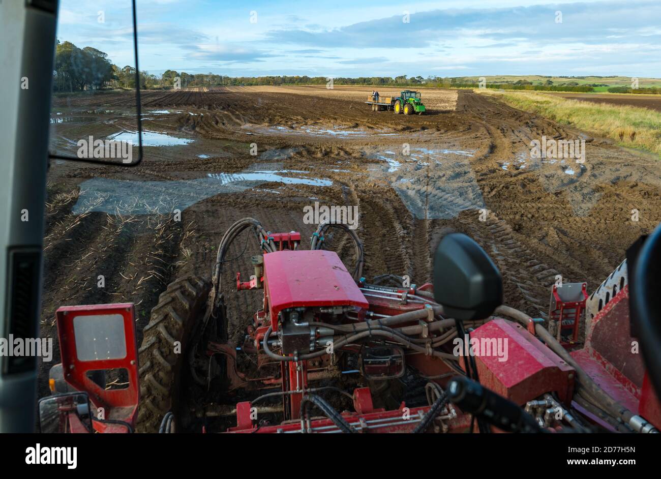 Luffness Mains Farm, East Lothian, Schottland, Großbritannien, 21. Oktober 2020. Letzte Kartoffelernte: Mit 100mm Regen fallen vor kurzem, eine selbstfahrende Kartoffelernter wird für über £300 pro Stunde gemietet, um die schlammigen Bedingungen zu bewältigen. Die Ernte würde normalerweise bis zum 15. Abgeschlossen sein. Das letzte Feld des Hofes wird bis Freitag mit 10 Hektar mit hochwertigen Maris Piper Kartoffeln geerntet werden. Die Kosten für die Miete überwiegen den Gewinn und ein Großteil der Kartoffelnachfrage trocknete während der Schließung mit Catering-Filialen geschlossen. Bild: In der Kabine des Harvesters Stockfoto