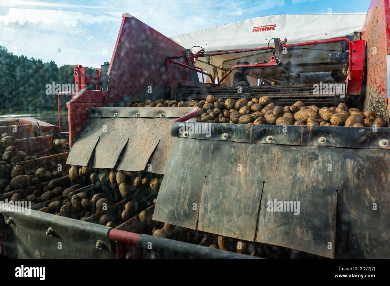 Luffness Mains Farm, East Lothian, Schottland, Großbritannien, 21. Oktober 2020. Letzte Kartoffelernte: Mit 100mm Regen fallen vor kurzem, eine selbstfahrende Kartoffelernter wird für über £300 pro Stunde gemietet, um mit schlammigen Bedingungen zu bewältigen. Die Ernte würde normalerweise bis zum 15. Abgeschlossen sein. Dieses letzte Feld wird bis Freitag mit 10 Hektar geerntet werden, die 600 Tonnen Maris Piper Kartoffeln ergeben. Allerdings überwiegen die Kosten der Miete den Gewinn und ein Großteil der Kartoffelnachfrage trocknete während der Schließung mit Catering-Filialen geschlossen Stockfoto