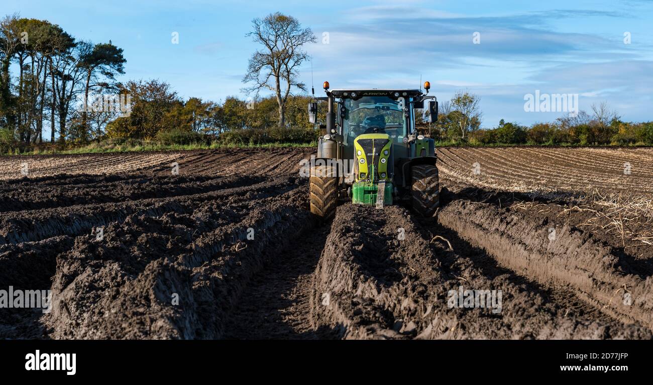 Luffness Mains Farm, East Lothian, Schottland, Großbritannien, 21. Oktober 2020. Letzte Kartoffelernte: Mit 100mm Regen fallen vor kurzem, eine selbstfahrende Kartoffelernter wird für über £300 pro Stunde gemietet, um mit schlammigen Bedingungen zu bewältigen. Dieses letzte Feld wird bis Freitag mit 10 Hektar geerntet werden, die 600 Tonnen Maris Piper Kartoffeln ergeben. Die Kosten für die Miete überwiegen den Gewinn und die Kartoffelnachfrage trocknete während der Schließung mit Catering-Filialen geschlossen. Ein Traktor steckt im Schlamm fest Stockfoto