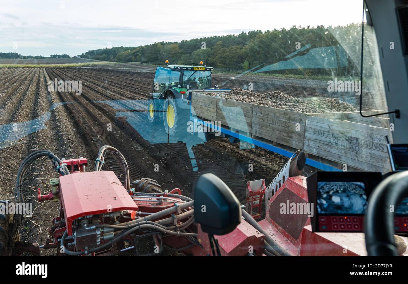 Luffness Mains Farm, East Lothian, Schottland, Großbritannien, 21. Oktober 2020. Letzte Kartoffelernte: Mit 100mm Regen fallen vor kurzem, eine selbstfahrende Kartoffelernter wird für über £300 pro Stunde gemietet, um mit schlammigen Bedingungen zu bewältigen. Die Ernte würde normalerweise bis zum 15. Abgeschlossen sein. Dieses letzte Feld sollte bis Freitag geerntet werden mit 10 Hektar Ergiebigkeit 600 Tonnen Maris Piper Kartoffeln. Die Kosten für die Miete überwiegen den Gewinn und die Kartoffelnachfrage trocknete während der Schließung mit Catering-Filialen geschlossen. Bild: In der Kabine des Harvesters Stockfoto