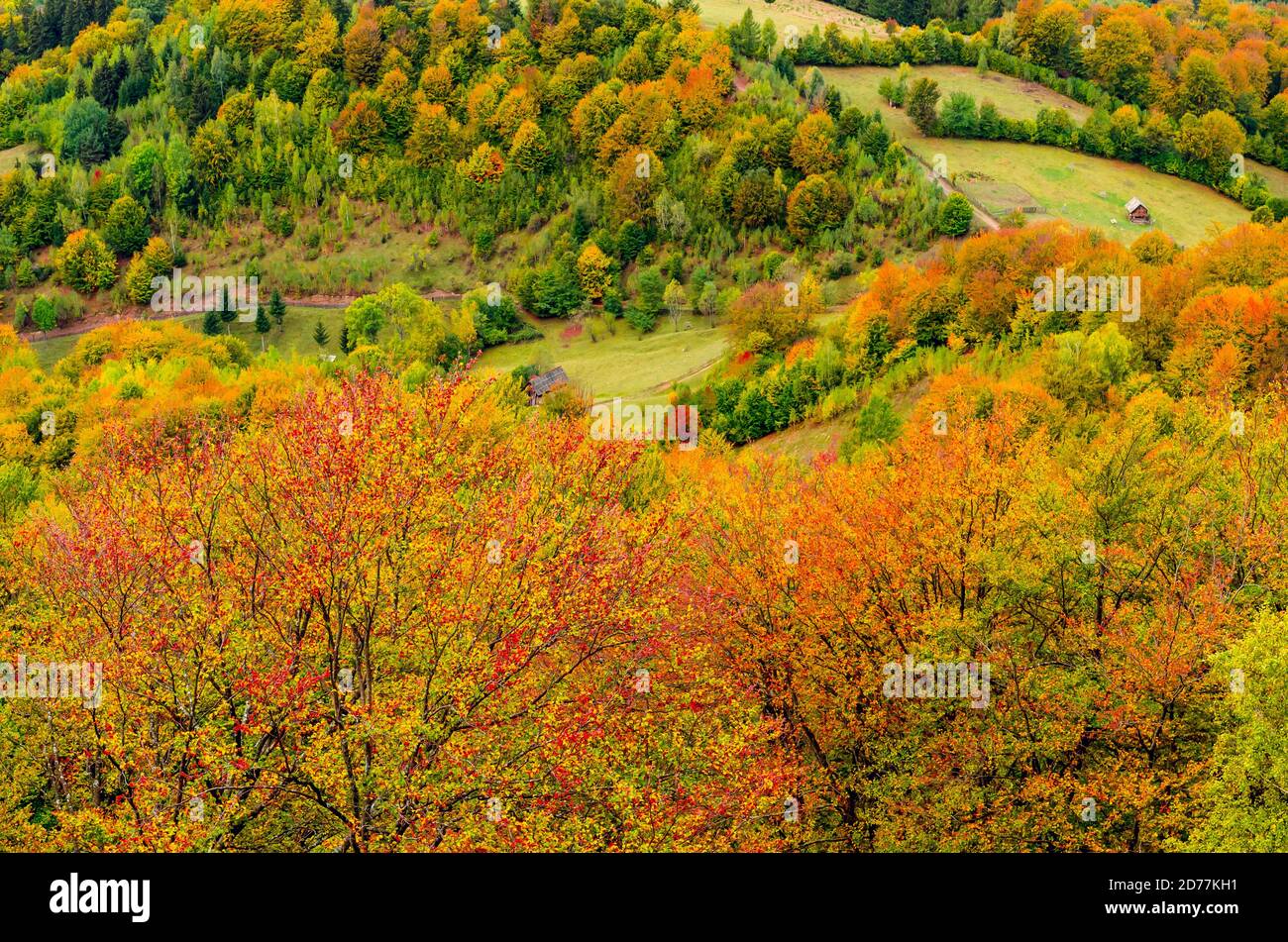 Herbstlandschaft in den Bergen. Berg Herbst Szene mit bunten Bäumen im Wald. Es gibt einige Häuser und Hütten auf der Wiese Stockfoto