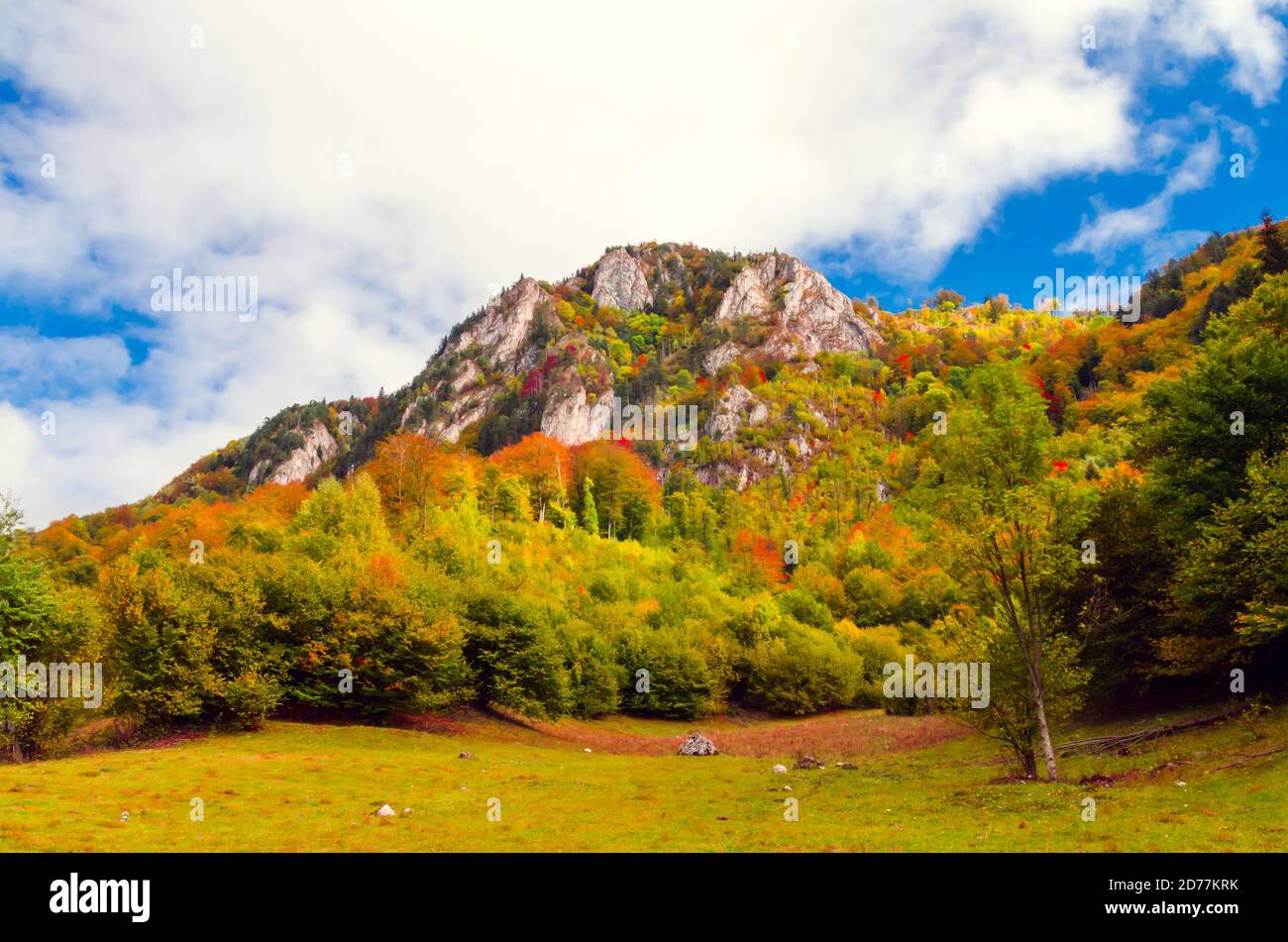 Herbstlandschaft in den Bergen. Berg Herbst Szene mit bunten Bäumen im Wald Stockfoto