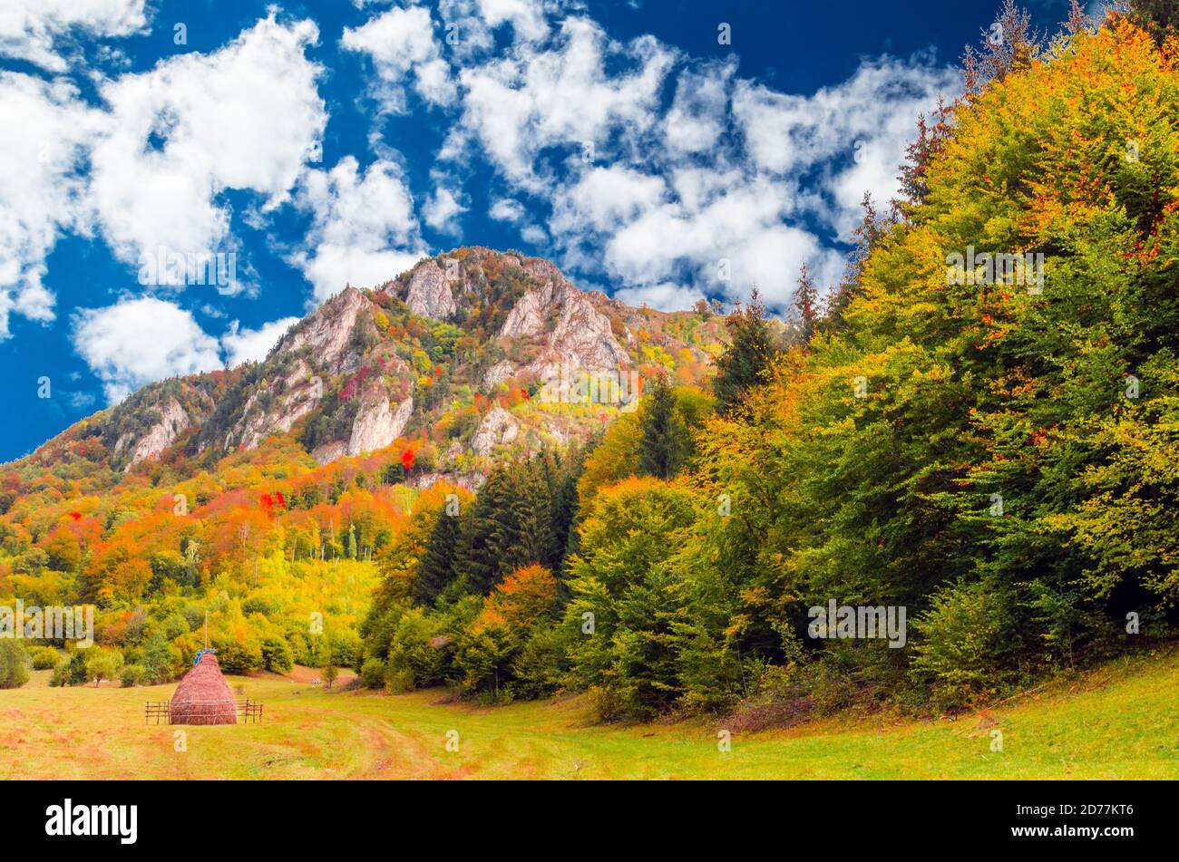 Herbstlandschaft in den Bergen. Wiese mit Heuhaufen in der Nähe eines Waldes in der Herbstsaison Stockfoto