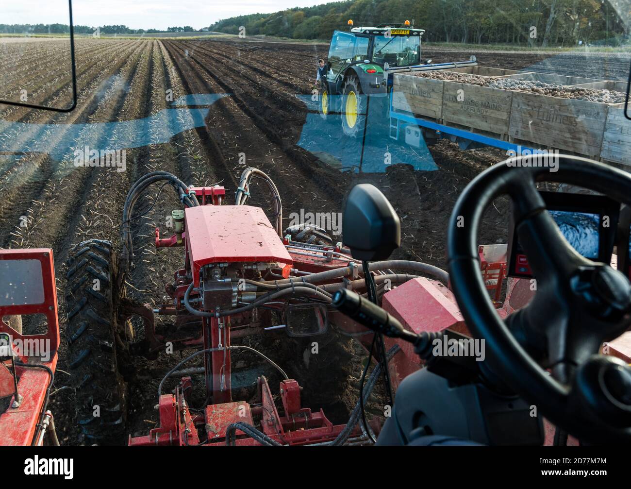 Luffness Mains Farm, East Lothian, Schottland, Großbritannien, 21. Oktober 2020. Letzte Kartoffelernte: Mit 100mm Regen fallen vor kurzem, eine selbstfahrende Kartoffelernter wird für über £300 pro Stunde gemietet, um die schlammigen Bedingungen zu bewältigen. Die Ernte würde normalerweise bis zum 15. Abgeschlossen sein. Das letzte Feld des Hofes wird bis Freitag mit 10 Hektar mit hochwertigen Maris Piper Kartoffeln geerntet werden. Die Kosten für die Miete überwiegen den Gewinn und ein Großteil der Kartoffelnachfrage trocknete während der Schließung mit Catering-Filialen geschlossen. Bild: In der Kabine des Harvesters Stockfoto