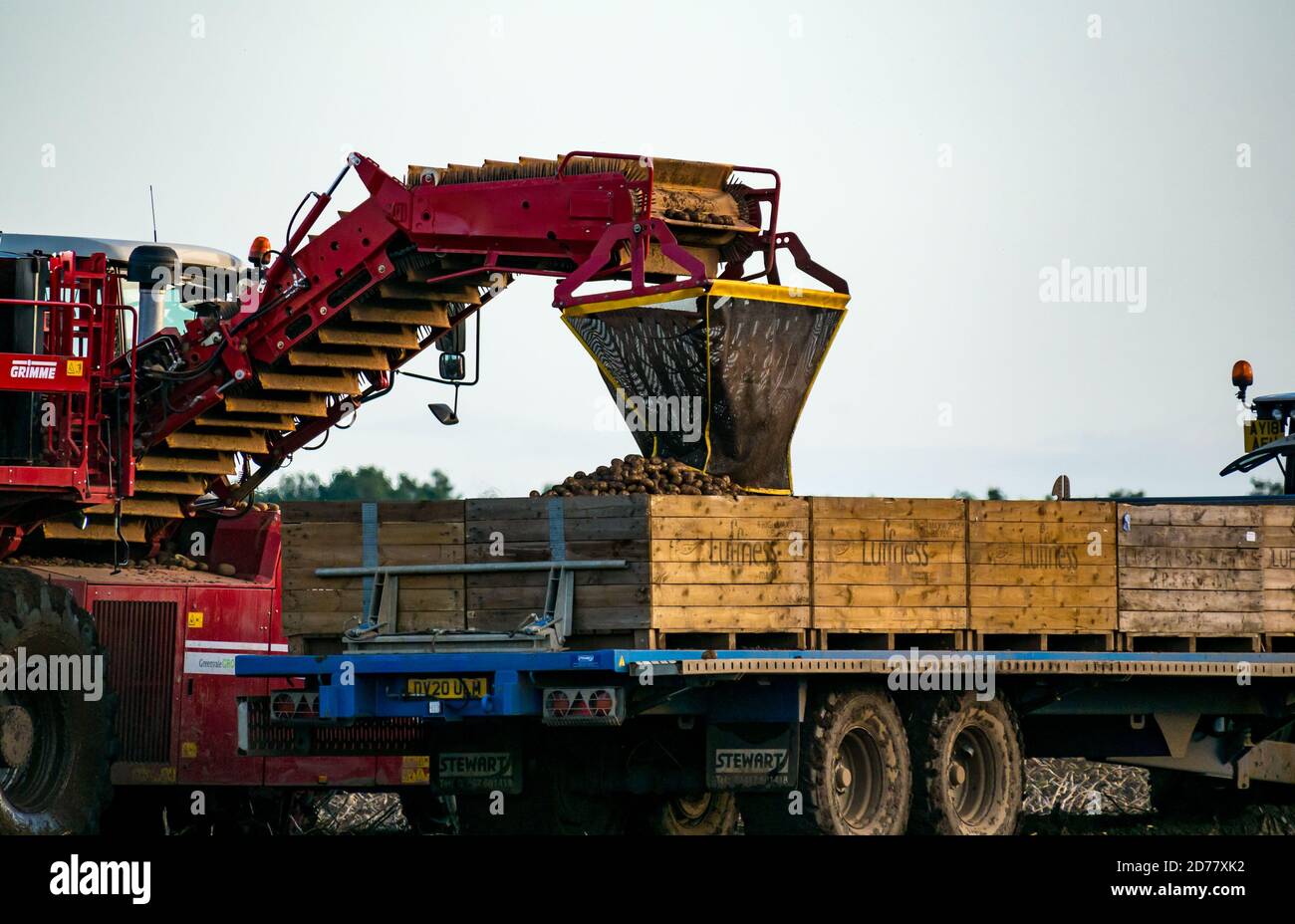 Luffness Mains Farm, East Lothian, Schottland, Großbritannien, 21. Oktober 2020. Letzte Kartoffelernte: Mit 100mm Regen fallen vor kurzem, eine selbstfahrende Kartoffelernter wird für über £300 pro Stunde gemietet, um mit schlammigen Bedingungen zu bewältigen. Die Ernte würde normalerweise bis zum 15. Abgeschlossen sein. Dieses letzte Feld wird bis Freitag mit 10 Hektar geerntet werden, die 600 Tonnen Maris Piper Kartoffeln ergeben. Allerdings überwiegen die Kosten der Miete den Gewinn und ein Großteil der Kartoffelnachfrage trocknete während der Schließung mit Catering-Filialen geschlossen Stockfoto