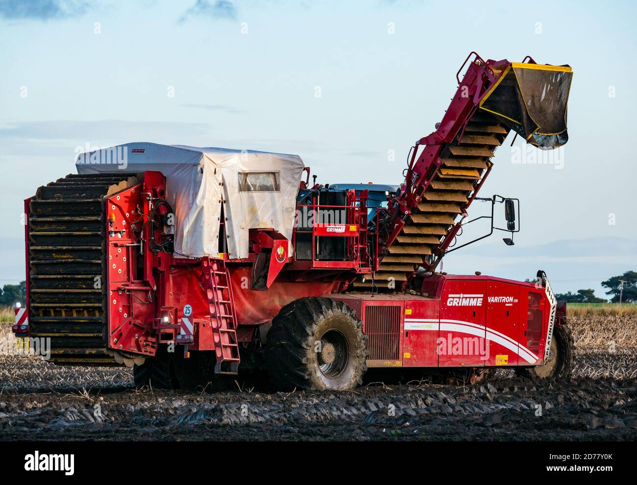 Luffness Mains Farm, East Lothian, Schottland, Großbritannien, 21. Oktober 2020. Letzte Kartoffelernte: Mit 100mm Regen fallen vor kurzem, eine selbstfahrende Kartoffelernter wird für über £300 pro Stunde gemietet, um mit schlammigen Bedingungen zu bewältigen. Die Ernte würde normalerweise bis zum 15. Abgeschlossen sein. Dieses letzte Feld wird bis Freitag mit 10 Hektar geerntet werden, die 600 Tonnen Maris Piper Kartoffeln ergeben. Allerdings überwiegen die Kosten der Miete den Gewinn und ein Großteil der Kartoffelnachfrage trocknete während der Schließung mit Catering-Filialen geschlossen Stockfoto