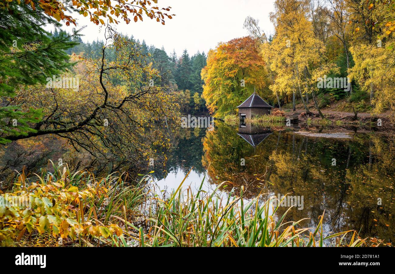 Herbstfarben auf Waldbelaub und Holzboathouse am Loch Dunmore in Faskally Wood bei Pitlochry in Perthshire, Schottland, UK Stockfoto