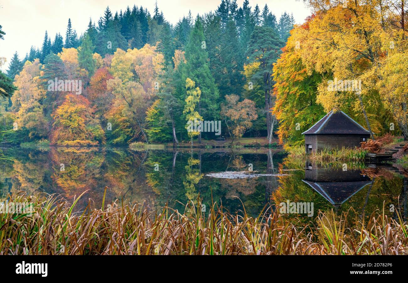 Herbstfarben auf Waldbelaub und Holzboathouse am Loch Dunmore in Faskally Wood bei Pitlochry in Perthshire, Schottland, UK Stockfoto